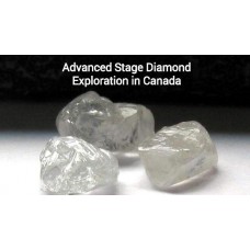 Dunnedin Recovers Diamonds!